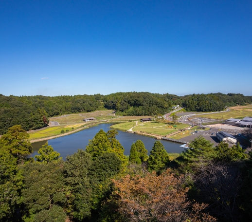 橘ふれあい公園