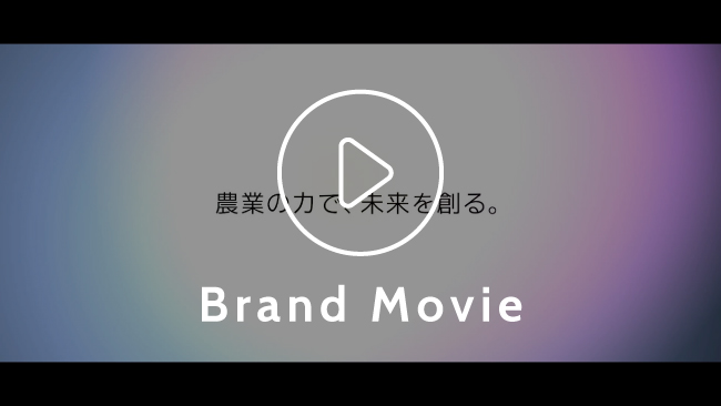 ブランドムービーを動画を再生する